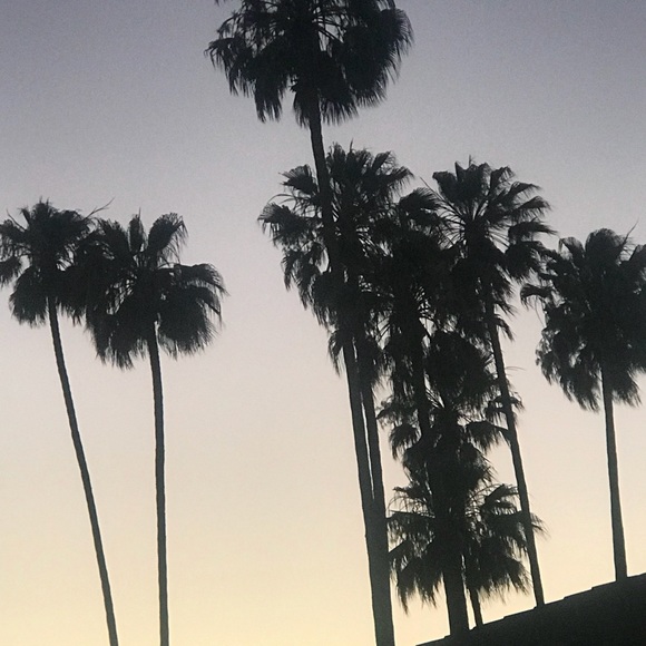 Meet your Posher, Meagan - Picture 3 of 3